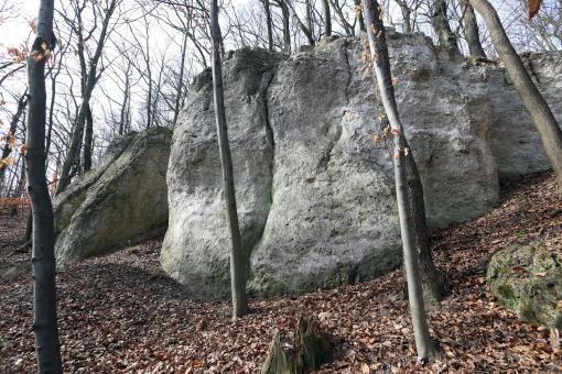 Imbrama w Wąwozie Ostryszni