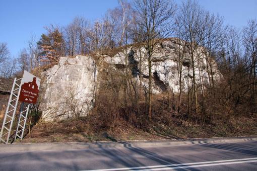 Skała w Januszowicach w Dolinie Prądnika