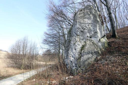 Snopek w wąwozie Babie Doły w Sułoszowej