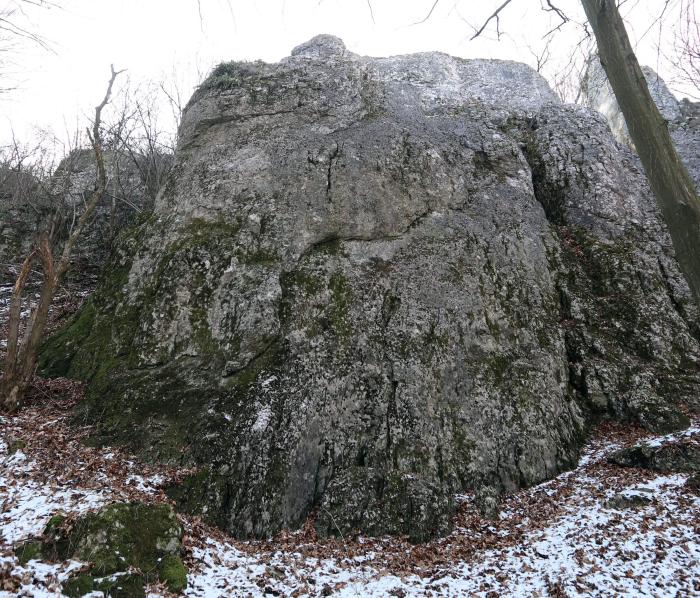 Wapienna skała Wielka Gzylowa