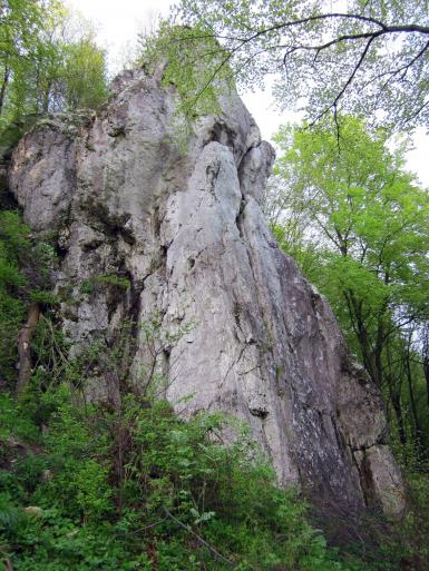 Łabajowa Baszta w Dolinie Będkowskiej