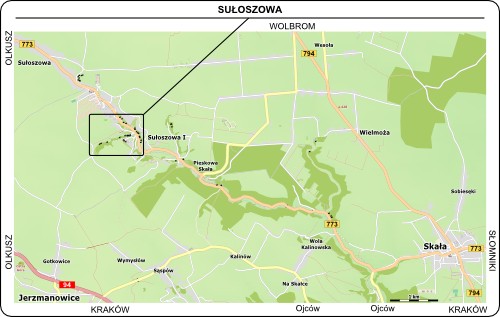 Mapa dojazdu do Sułoszowej