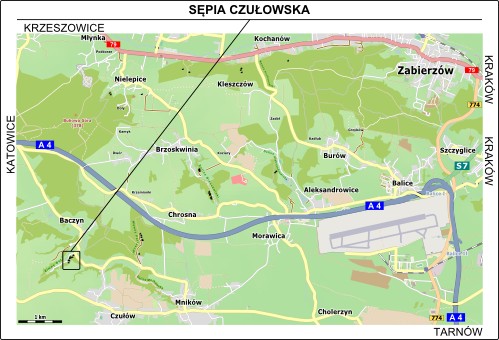 Mapa dojazdu do Sępiej Czułowskiej w Zimnym Dole