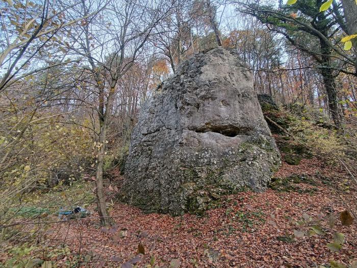 Skała na Łopiankach w Wąwozie Półrzeczki