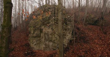 Nowy Dom Poziomek-
