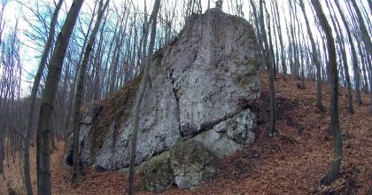 Rzeszoto-
