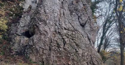 Skała na Łopiankach- Skała na Łopiankach-