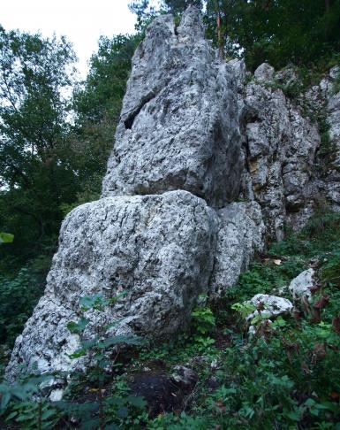 Przedszkole w Grupie Łabajowej