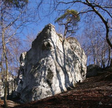 Forteca-