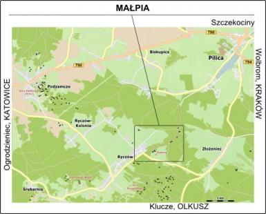 Małpia-