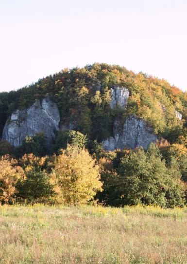 Grupa Wielkiej Turni