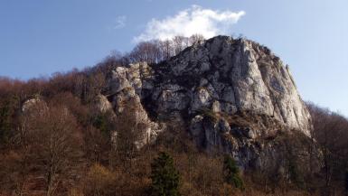 Sokolica w Dolinie Będkowskiej