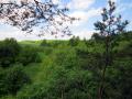Plany Ochrony Parków Krajobrazowych: Dłubniańskiego i Rudniańskiego