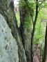 Murek z Wampirami-