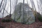 Plaskolec-